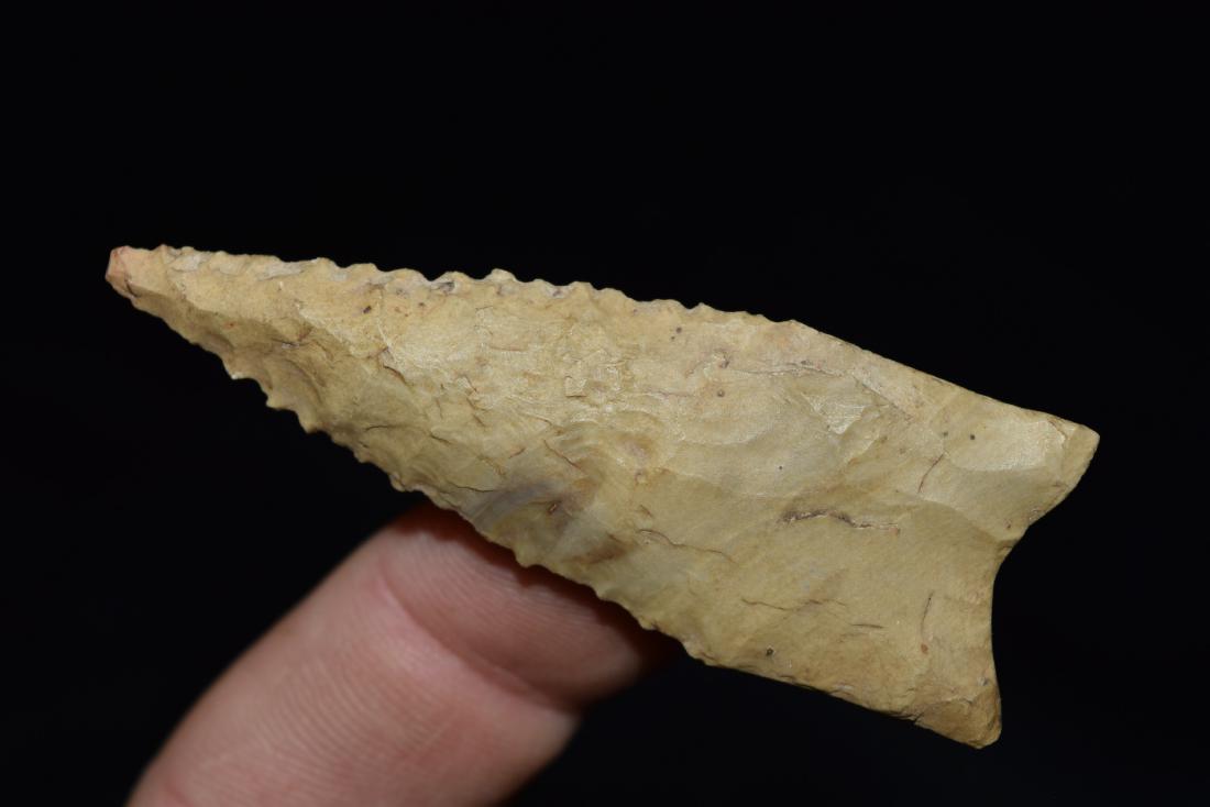 2 3/8" Fine Serrated Dalton, Alec Riebel, Scotland Co, (1 of 5)