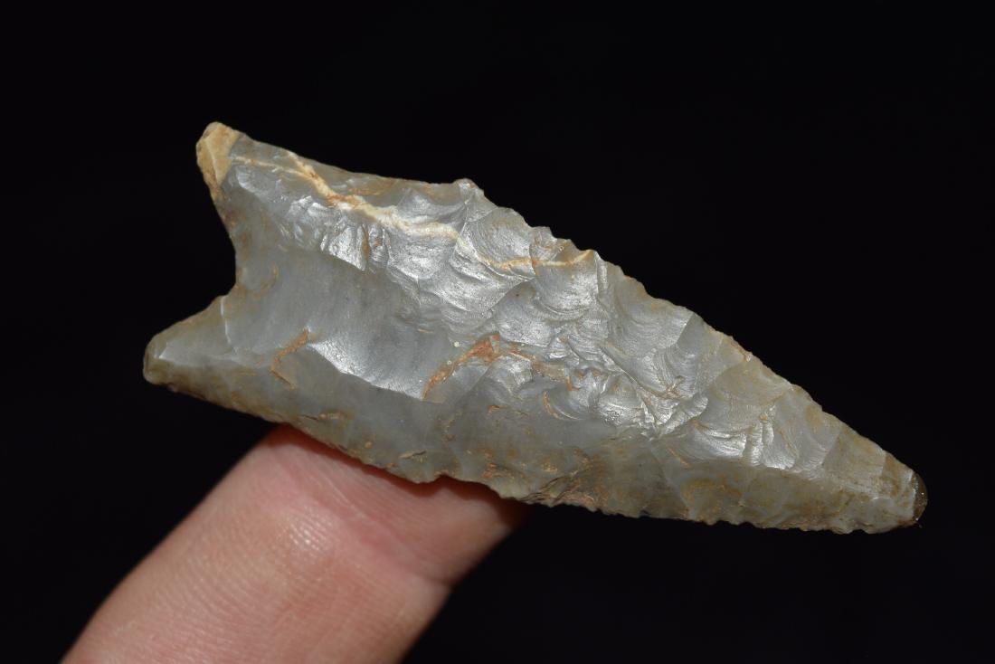 2 1/4" Fluted Dalton, Alec Riebel, Scotland Co, MO (1 of 6)