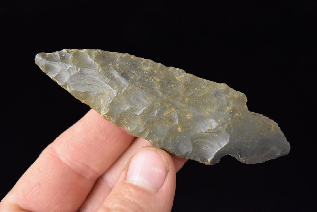 3 5/8" Kentucky Turkey Tail, Alec Riebel, Scotland Co, (1 of 3)