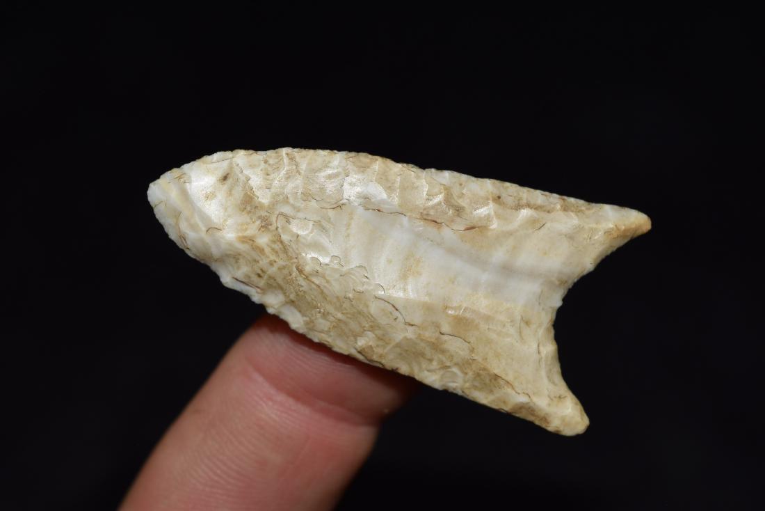 2" Fluted Clovis / Redstone, Alec Riebel, Scotland Co, (1 of 6)