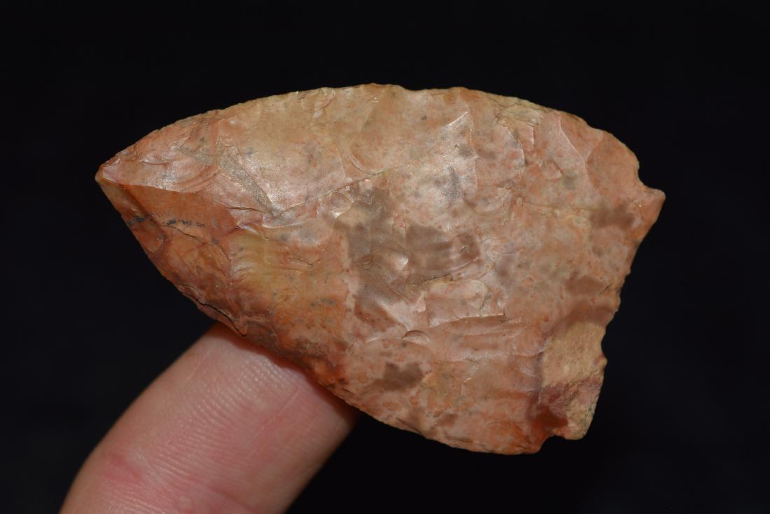 2 1/4" Decatur, Great Color, Alec Riebel, Scotland Co, (1 of 5)