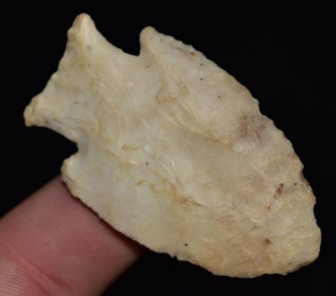 2 1/2" Fishtail Hardin found by Jack Baker, Wayne Co, (1 of 9)