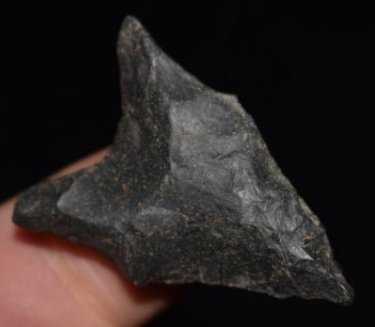 1 1/2" Dalton, found by Jack Baker, Wayne Co, IL (1 of 9)