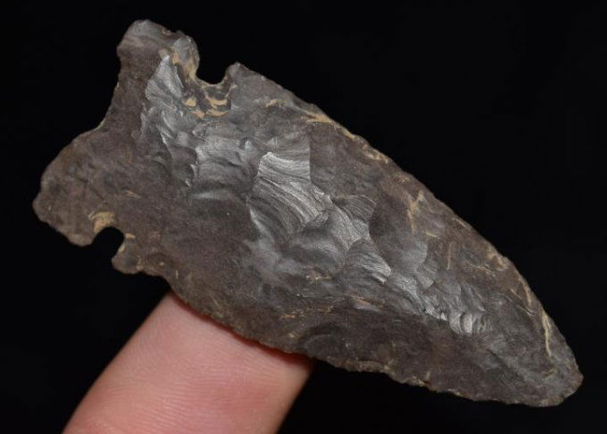 2 7/8" Cache River, found by Jack Baker, Wayne Co, IL (1 of 8)