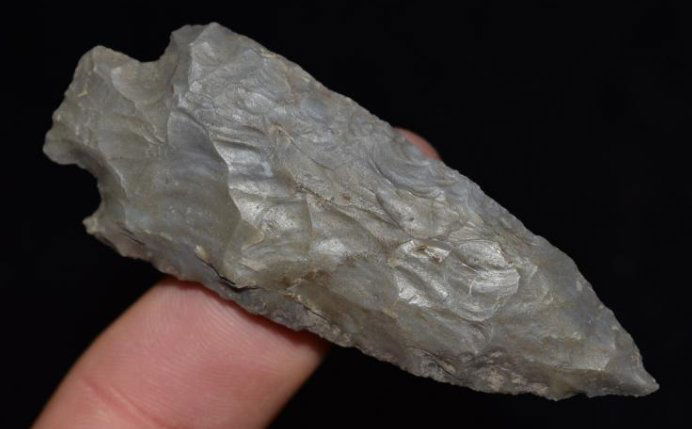 3/8" Matanzas, found by Jack Baker, Wayne Co, IL (1 of 6)