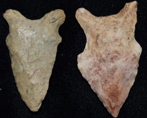 2 Daltons, found by Jack Baker, Wayne Co, IL (1 of 5)