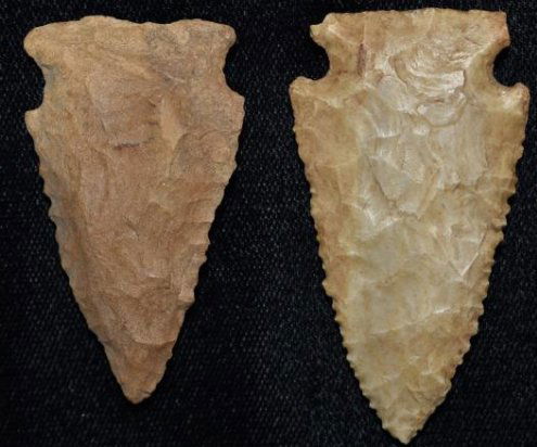 2 Nice Serrated points, found by Jack Baker, Wayne Co, (1 of 5)