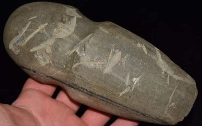 6 7/8" 3/4 Groove Adze ,Rare, Field found, made of (1 of 9)