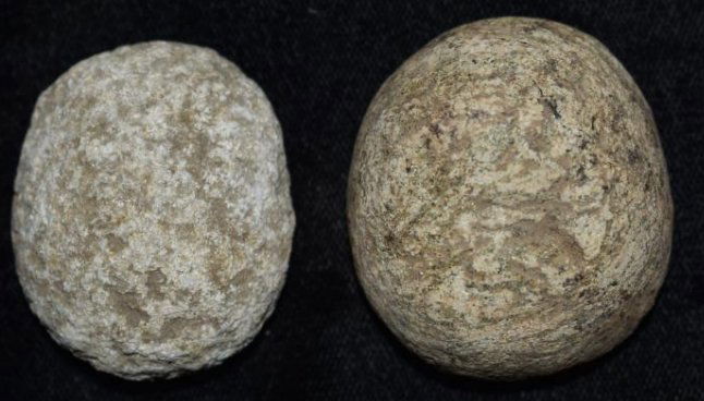 2 Cones, found by Jack Baker, Wayne Co, IL (1 of 6)