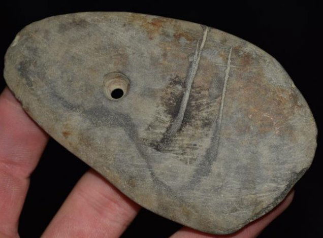 4 1/4" Drilled Pendant, found by Jack Baker, Wayne Co, (1 of 8)