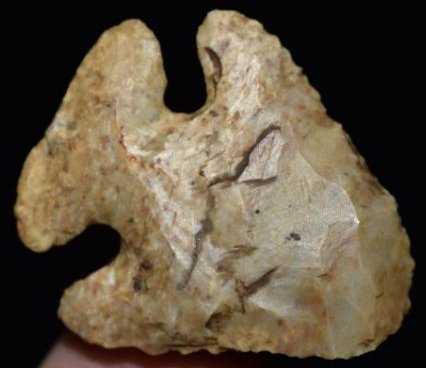 1 5/8" Thebes, Southern Il (1 of 8)