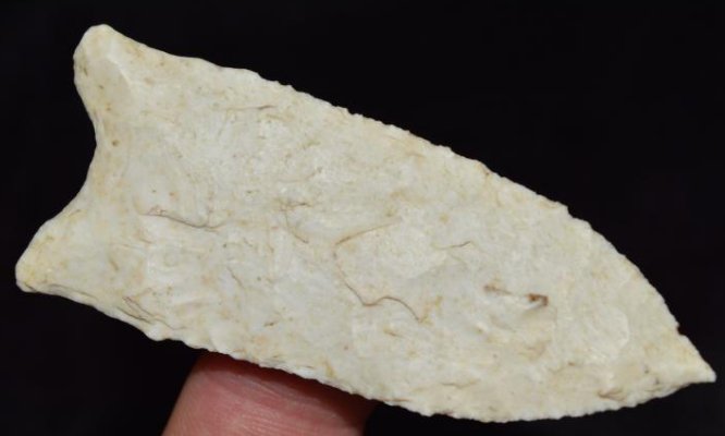 2 11/16" Exceedingly fine Dalton, Motley COA, Chariton (1 of 9)