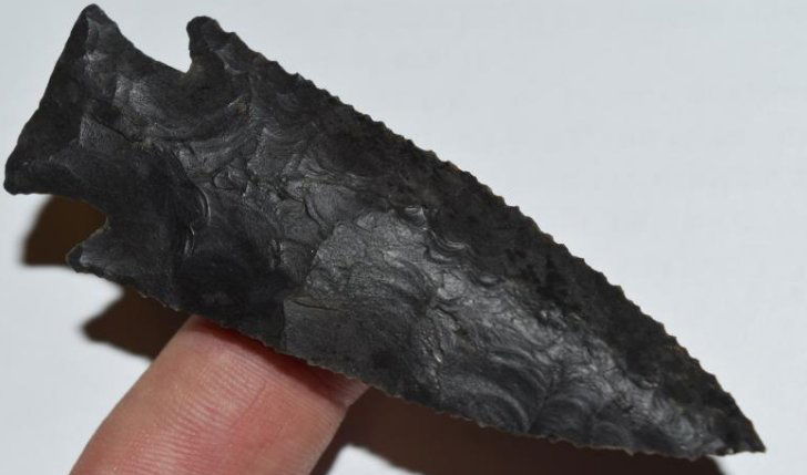 3 1/3" Phenomenally Made Hardin, Motley / Meadows / (1 of 11)