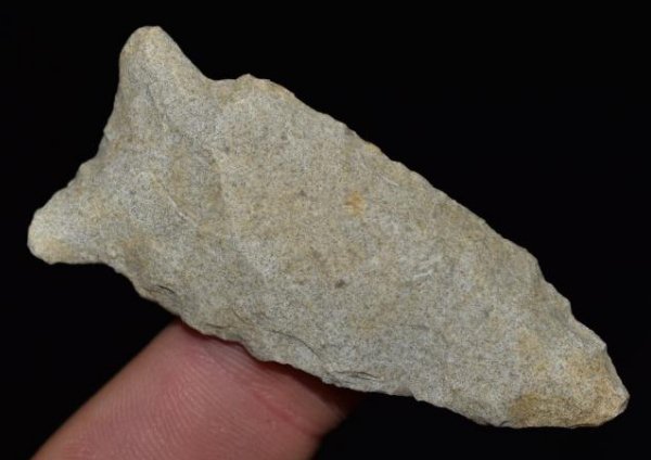 2 1/2" Greenbriar Dalton, Morgan County Missouri (1 of 6)