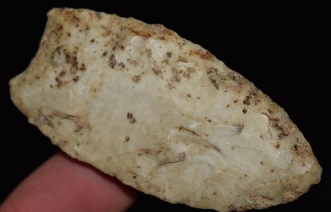 2 15/16" Paleo Browns Valley, Jersey County Illinois, (1 of 6)