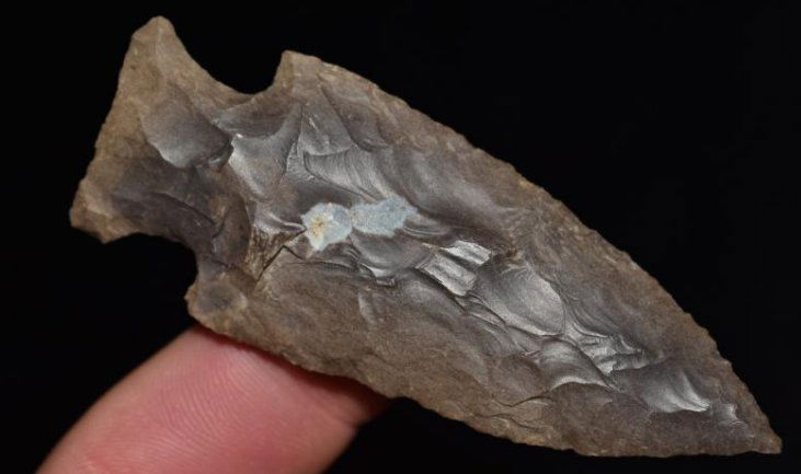 3" Motley point, Madison Co Illinois, (1 of 6)