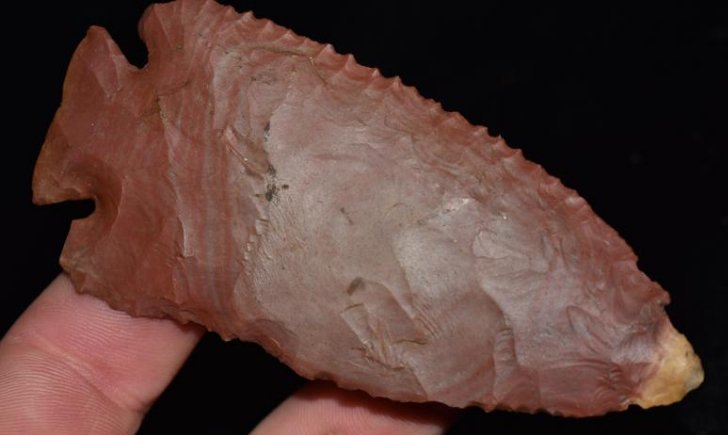 Beautiful Horse Creek Chert Dovetail, Dickey COA, 4: Beautiful Horse Creek Chert Dovetail, Dickey COA, 4 1/16” Long, Butler County Kentucky, Absolutely Fine Color with nice bullseye