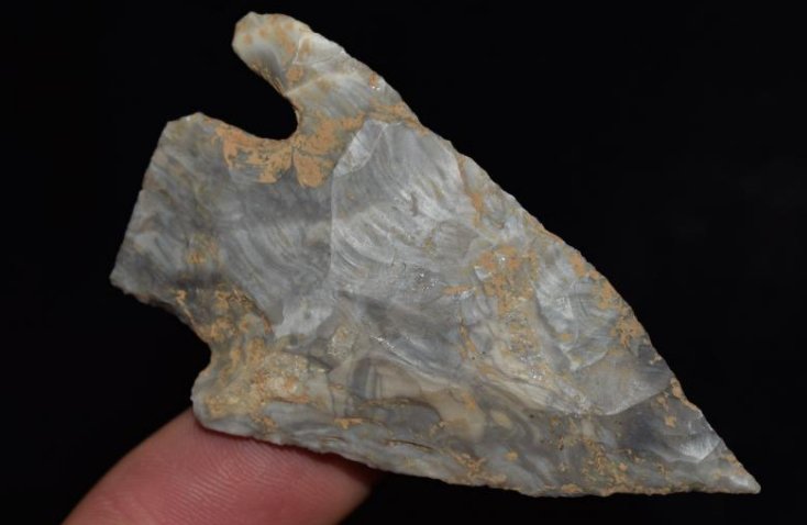 3 1/8" Mozarktie Etley, Motley COA, Pulaski Co (1 of 7)