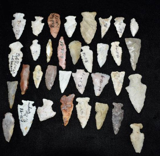 Lot of Birdpoints, collection of Wes and Mary Ingram,: Lot of Birdpoints, collection of Wes and Mary Ingram, Freeburg, IL