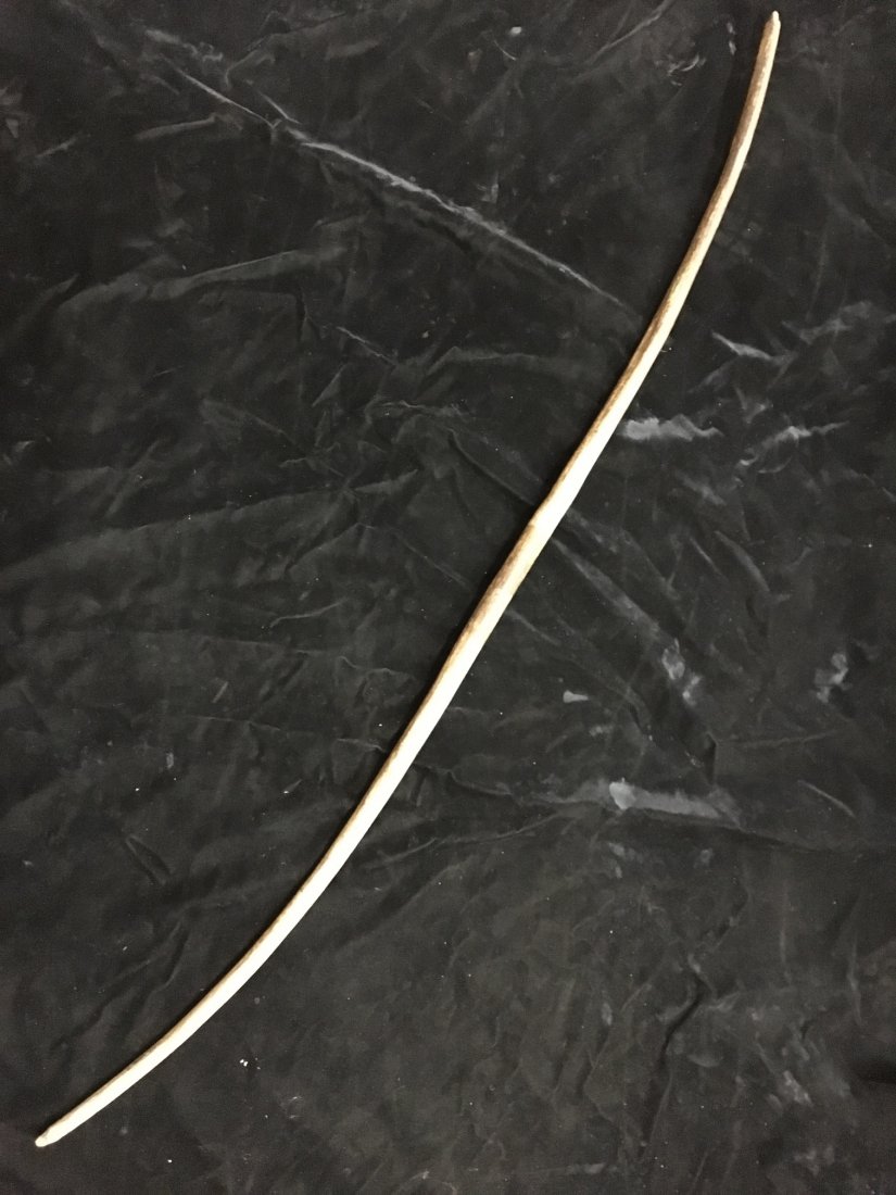 Historic wooden bow found coming our of creek bank by: Historic wooden bow found coming our of creek bank by Jack Baker in Wayne Co Illinois, 51 7/8\" long, great patination, can still see sap handle. rare