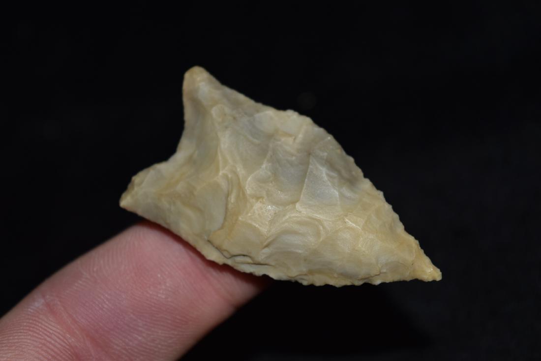 2" Quad or Dalton, really well made, Greene County, AR (1 of 5)