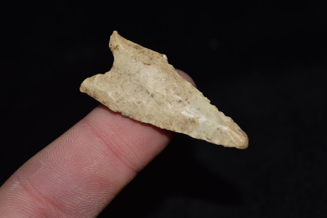 1 3/4" Fluted Dalton, Greene County, AR (1 of 5)