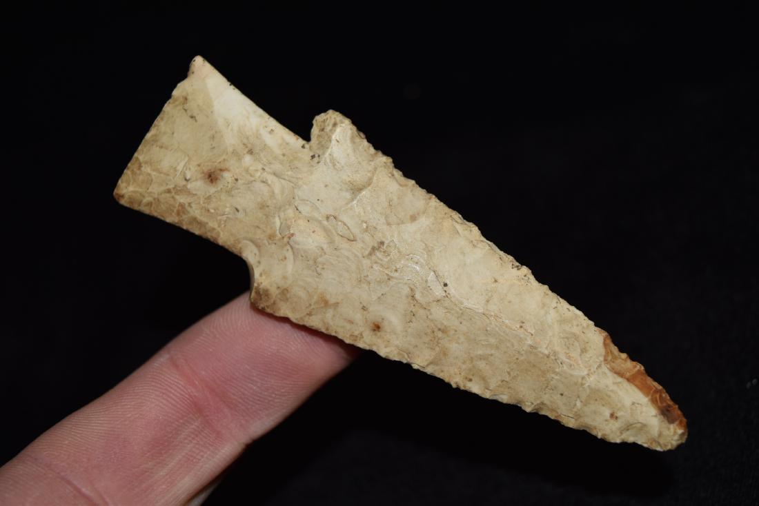 4" Burlington Hardin, Greene County, AR (1 of 5)