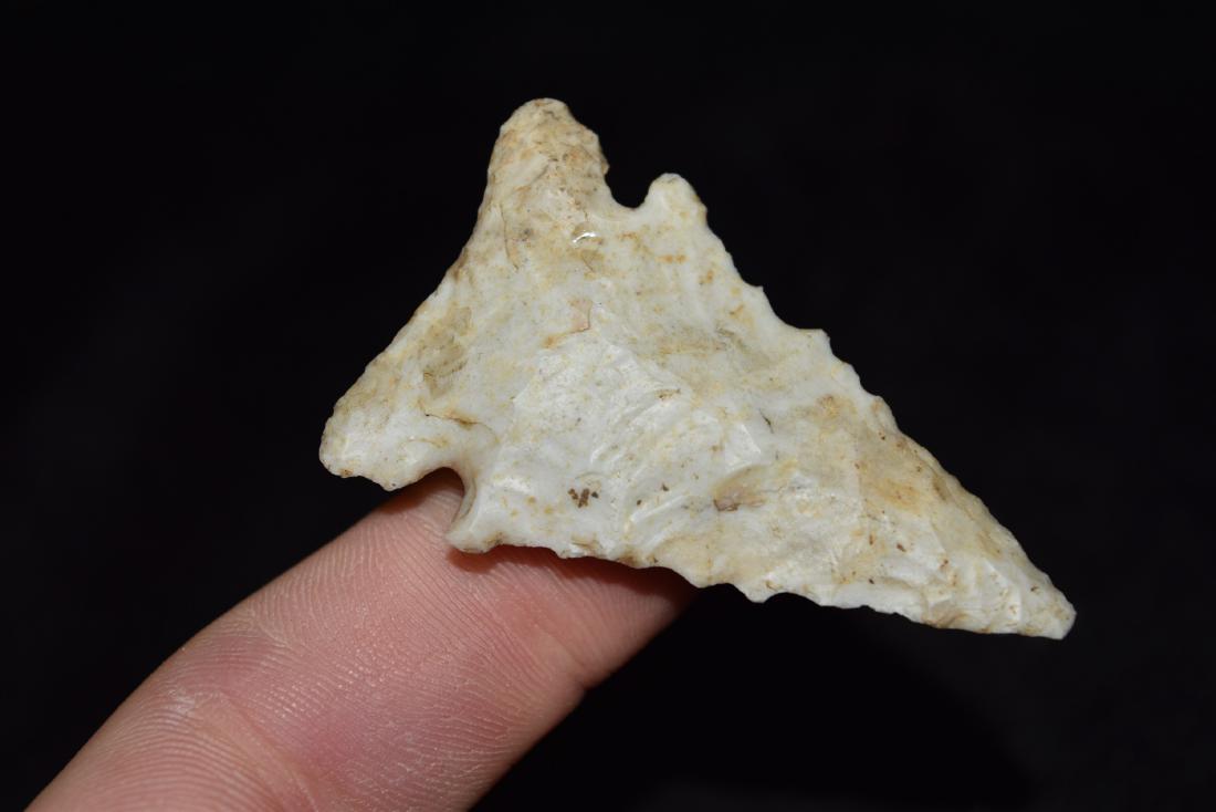 2 1/8" PineTree Lee County, IA by Frank Wyle (1 of 5)