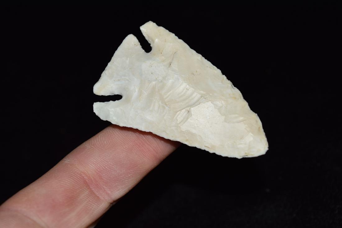 2 3/8" Pulaski Burlington Knox County, IL ex van Dyke (1 of 5)