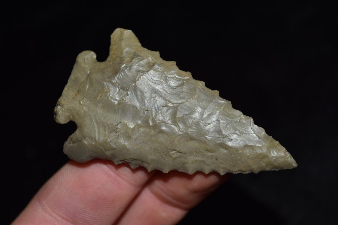 Super Nice Flaked Pinetree Point, 3 1/2 x 1 5/8", TN (1 of 5)