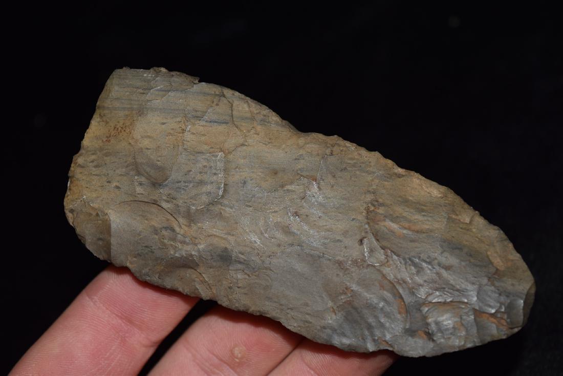 Cobbs Blade Petrified Wood 4 1/2 x 2", Saline Co, MO (1 of 5)