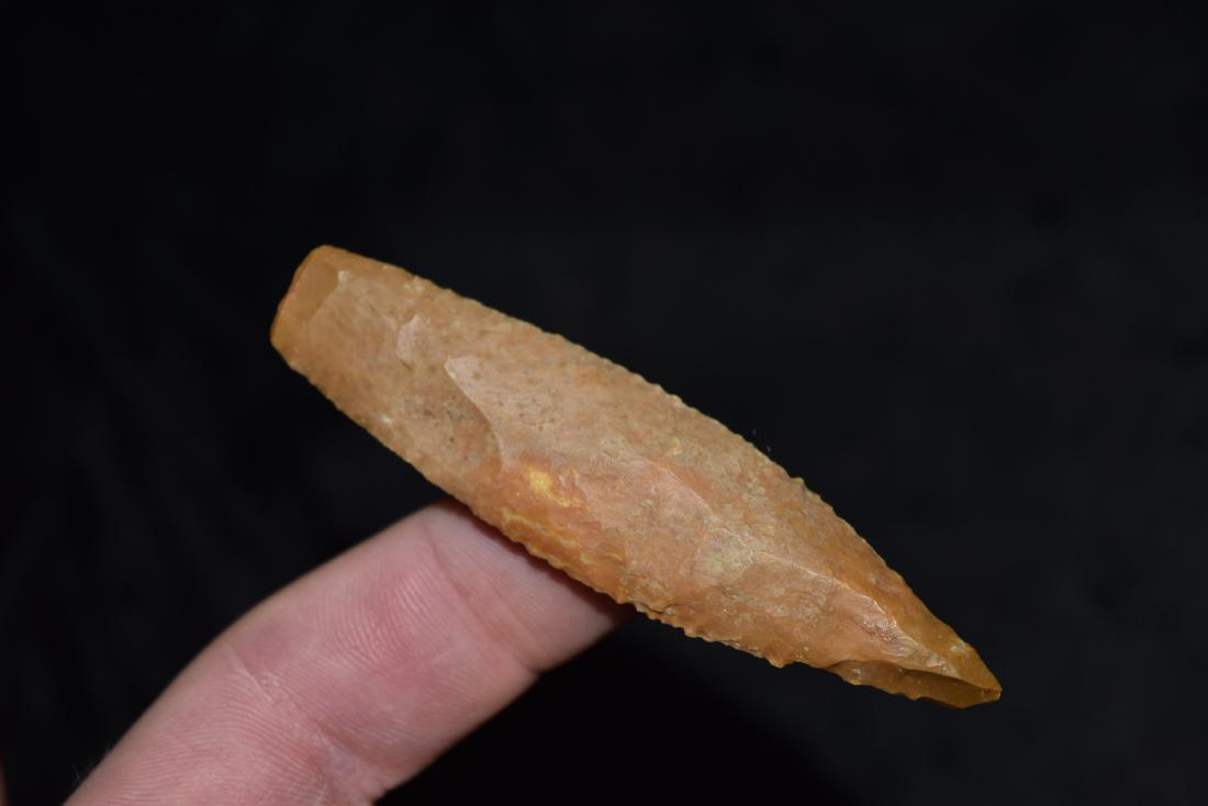 Angostura Point San Patricio Co, TX, Tip Damage, 3 21/8 (1 of 5)