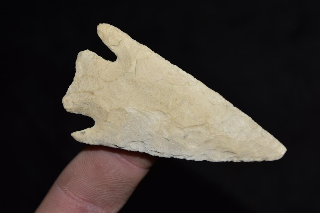 Apple Creek Point, 2 3/4 x 1 1/2", From Greene Co, IL (1 of 5)