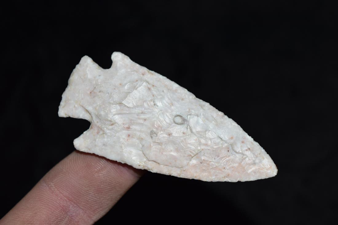 Apple Creek Point, 2 7/8 x 1 1/4", From Greene Co, IL (1 of 5)