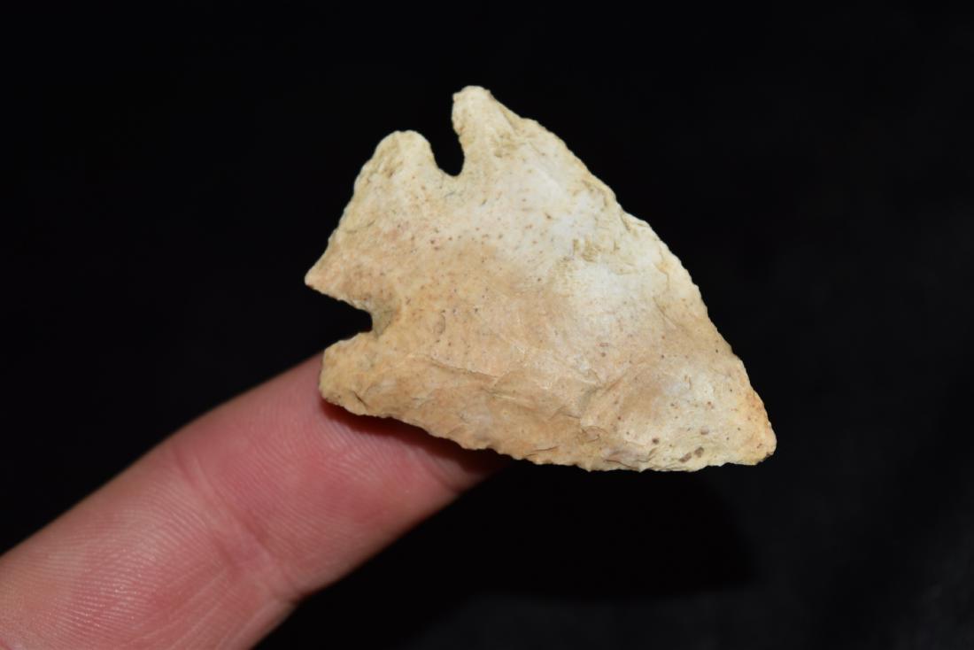 2" Two tone burlington corner notch: 2" Two tone burlington corner notch