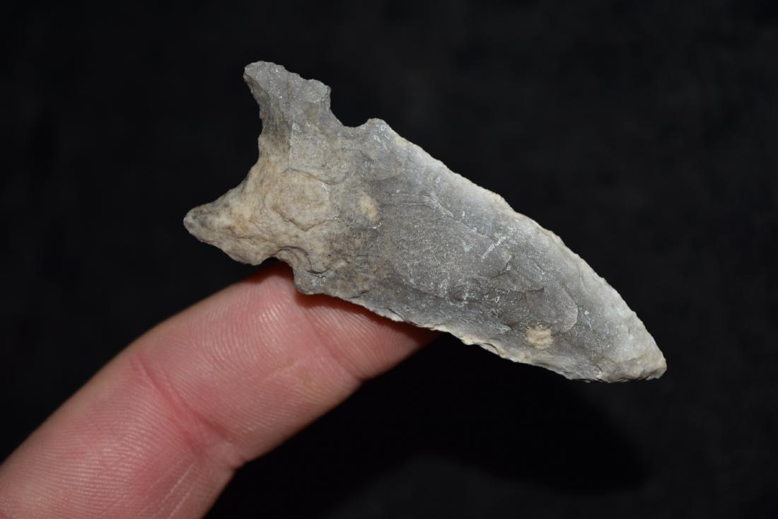 2 5/8" Graham cave, great color and classic style: 2 5/8" Graham cave, great color and classic style