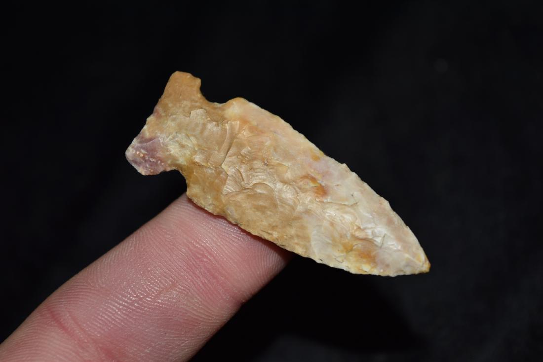 2" Robinson, good color and flaking, thin: 2" Robinson, good color and flaking, thin