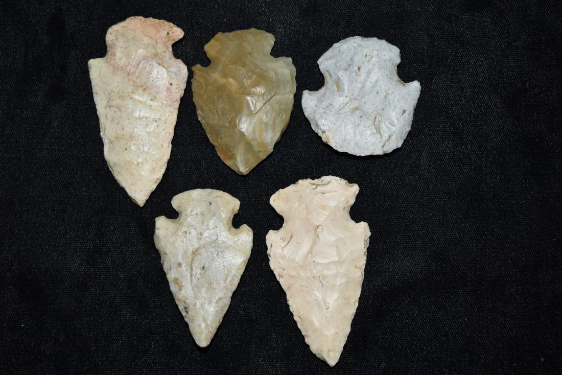 5 Hopewell points snyders and Gibsons: 5 Hopewell points snyders and Gibsons