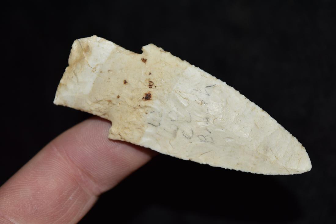 3" x 1/4" Burlington Hardin Barbe, Warren Co, MO: 3" x 1/4" Burlington Hardin Barbe, Warren Co, MO