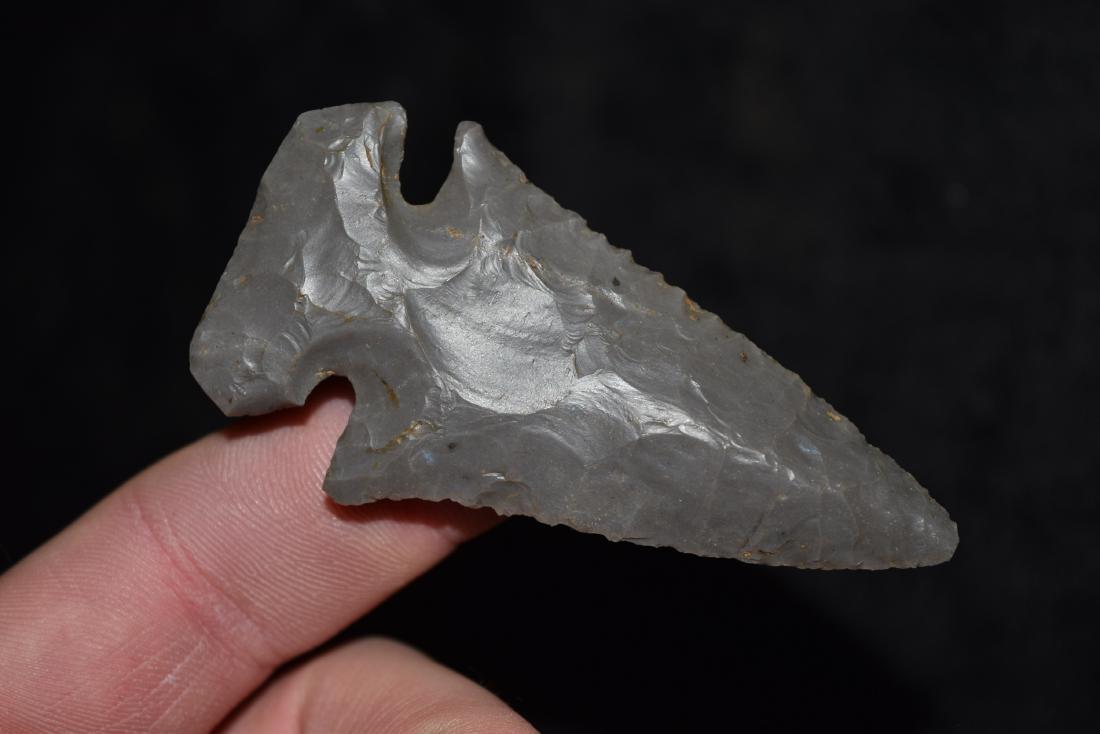 2 3/4" x 1 5/8" Hornstone Nicely Made Dovetail, Hardin: 2 3/4" x 1 5/8" Hornstone Nicely Made Dovetail, Hardin Co, IL