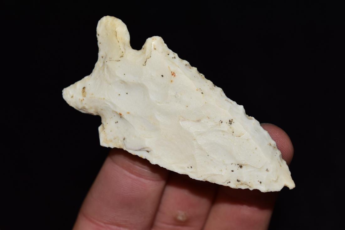 3 1/8" Thebes Point, Ear and base ding (1 of 5)