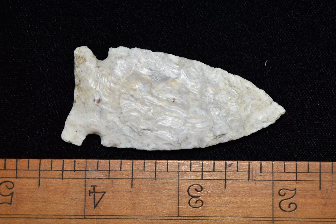 2 1/2" Robinson styled point with great fossils in: 2 1/2" Robinson styled point with great fossils in material