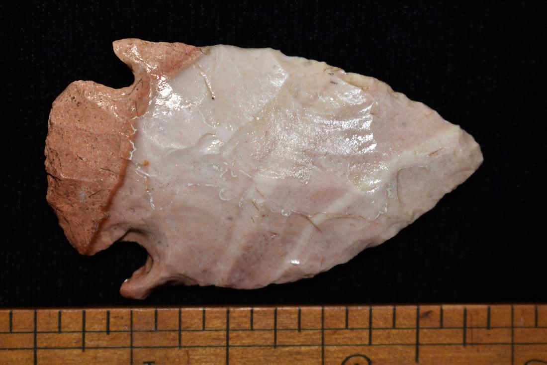 3 3/8" Gibson Point has been shellacked: 3 3/8" Gibson Point has been shellacked