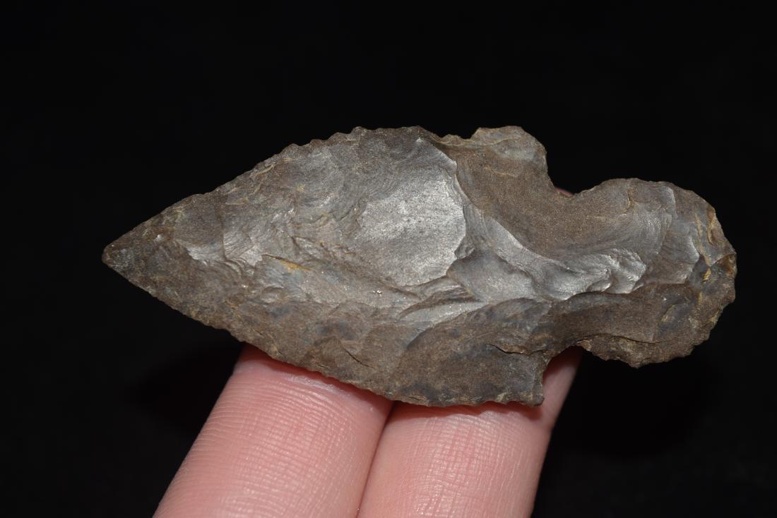 2 3/8" Turkey Tail Point, Florance Co, Alabama (1 of 4)