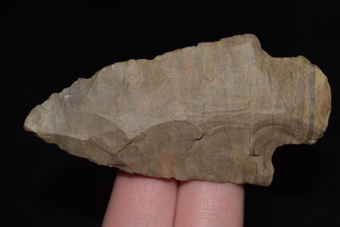 2 7/8" Pickwick Point, Florance Co, Alabama (1 of 4)