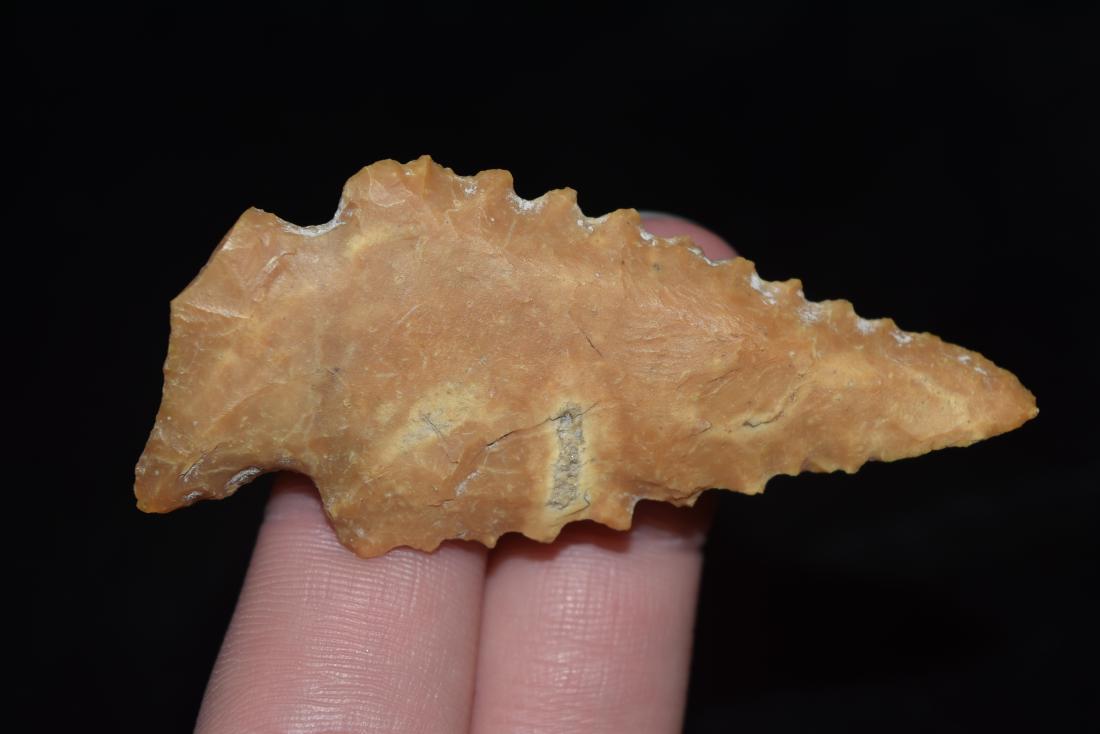 2 3/8" Bolen Bevels, Jefferson Co, Florida (1 of 4)