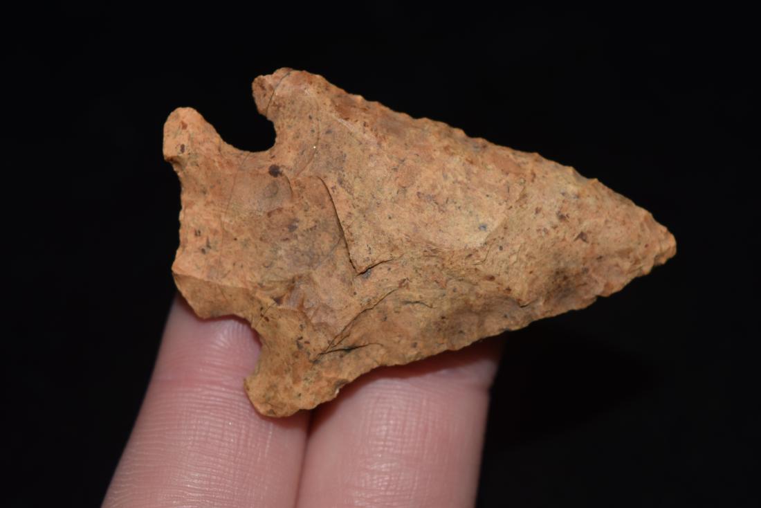 1 7/8" Bolen Bevels Point, Taylor Co, Florida (1 of 4)