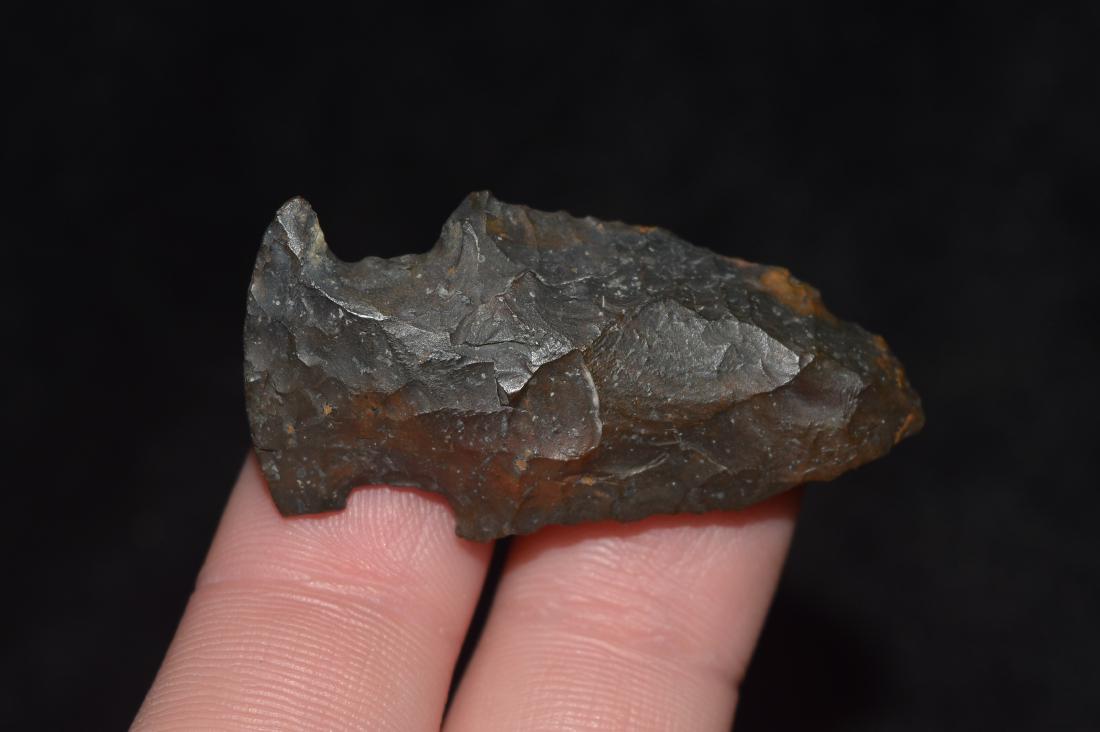 1 1/2" Bolen Bevel Point, Taylor Co, Florida (1 of 4)