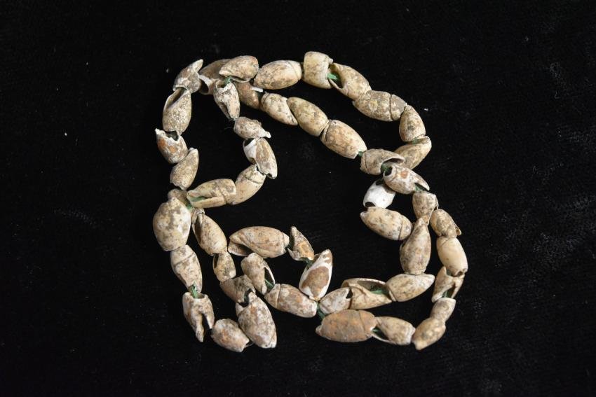 11 1/2" Strand of Shell Beads, Harold Keli Collection, (1 of 4)
