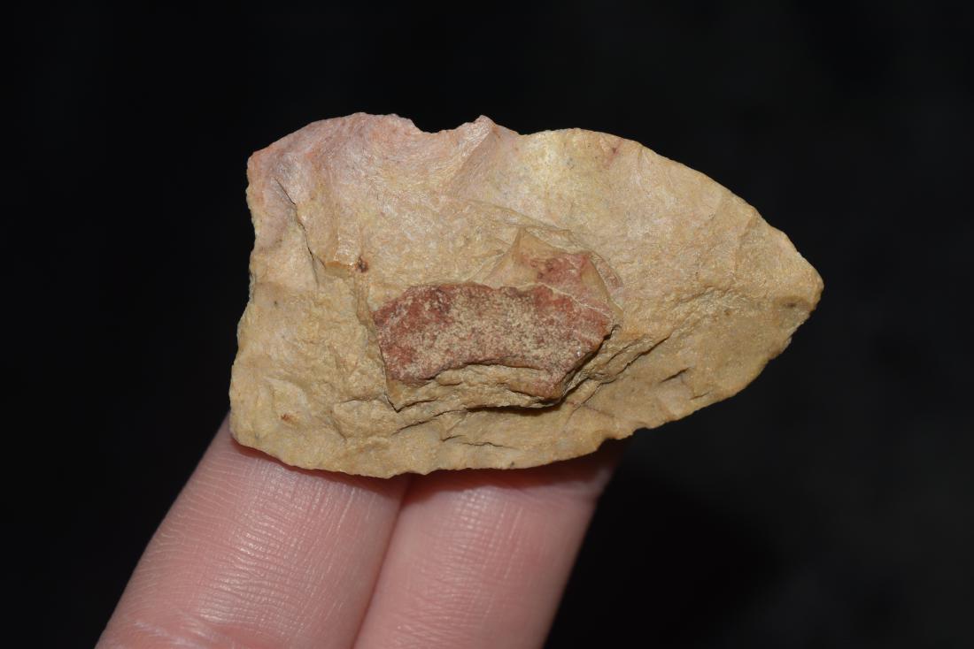 1 3/4" Fluted Paleo, Saline Co. AR (1 of 3)